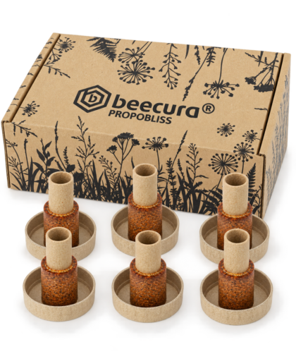 beecura PROPOBLISS refill pack featuring six natural propolis carriers alongside branded cardboard packaging.